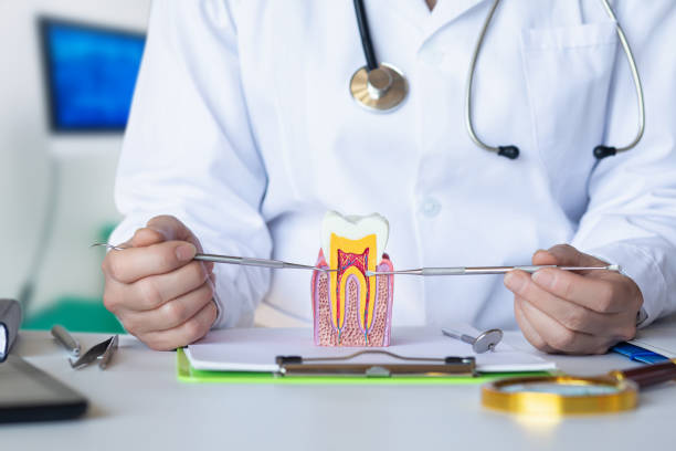 Best Emergency Care for Gum Disease in Henderson, TN